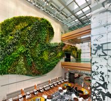 Vertical Garden