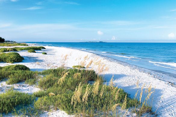 Fort De Soto Park - St. Petersburg, FL