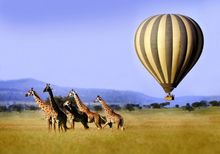 Ballooning over the Serengeti in Tanzania