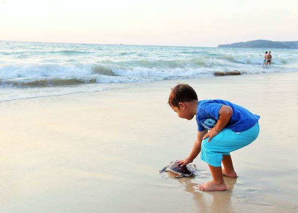 a kid seeing his new friend off from Bangtao Beach, Phuket, to an ocean odyssey 