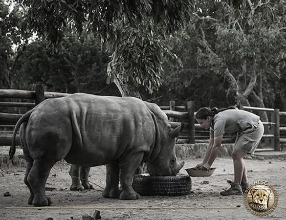 Anri feeding Gertjie and Matimba