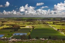 The Barossa