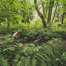 New guided mountain bike tours