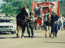 Collinsville Pit Pony Experience