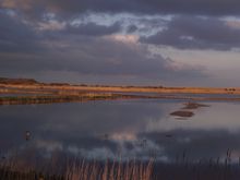 South Scrape at RSPB Minsmere