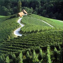 Slovenia Wine Road