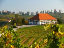 Zidanica - Wine retreats