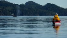 Triptoes Canada Vancouver Island for a family adventure