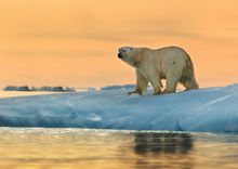 Magic of the Arctic - Svalbard, from Simply Sweden