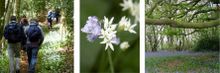 Foot Trails launches guide to spring walking