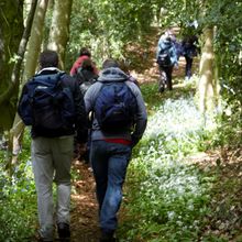 Spring walking: Dorset Chalk & Cheese