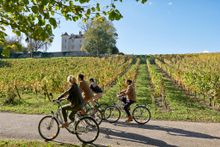 cahors_vineyard