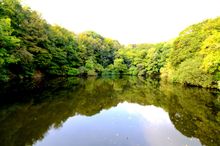 Lakeside