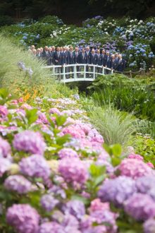 Nankersey at Trebah on bridge with hydrangeas