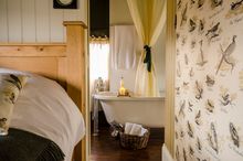The Dandeliion Hideaway on the edge of The National Forest