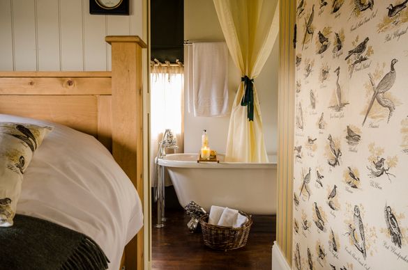 The Dandeliion Hideaway on the edge of The National Forest