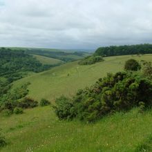 Walking in Dorset with Foot Trails