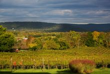 Sunset Hills Vineyard, Loudoun, VA