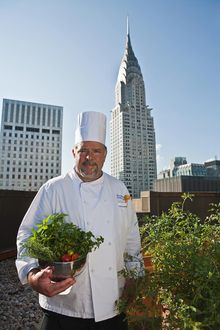 Chef Brian Wieler on the Rooftop Garden