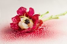 Scallops Carpaccio with Lime and Avruga Caviar on WHISK's dinner set menu for Mother's Day