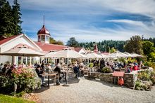 Enjoy a gourmet meal at Walter Peak Homestead