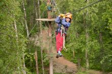Denali Zipline Tours