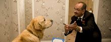 Red Carnation Hotels Celebrate VIPs (Very Important Pets)