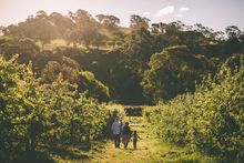 Small Acres Cyder family walk Orange