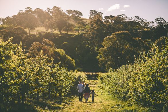 Small Acres Cyder family walk Orange