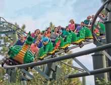 Dragon Coaster