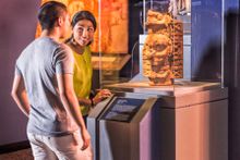 Maya exhibit