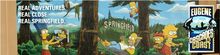 The Real Springfield 