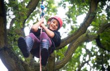 Tree climbing at the National Forest Wood Fair