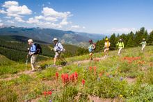 A wildflower hike near Vail Photo By -  Matt Inden/Weaver Multimedia Group