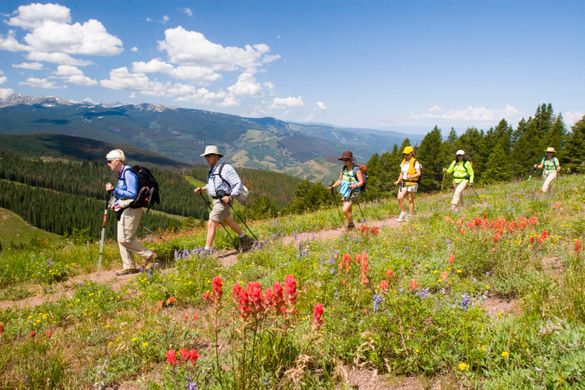  A wildflower hike near Vail Photo By -  Matt Inden/Weaver Multimedia Group