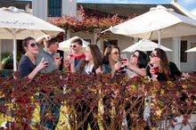 Roodezandt wine farm