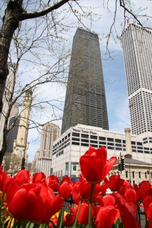 Water Tower Place-Chicago