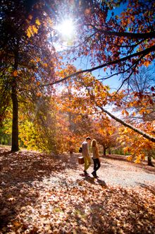 Lofty Botanical Gardens, Adelaide Hills, South Australia