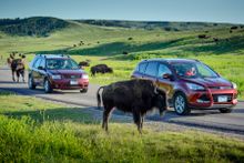Custer State Park