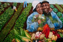 Founded in 1984, Philadelphia's Mural Arts Program has painted more than 3,000 murals throughout the city, providing art as a ci