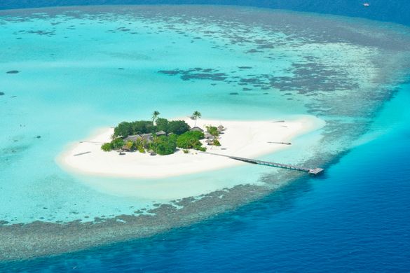 Lonubo Island, Maafushivaru Maldives