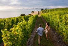 Blenheim, Marlborough Credit: Mike Heydo