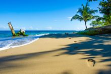 Manuel Antonio Beach