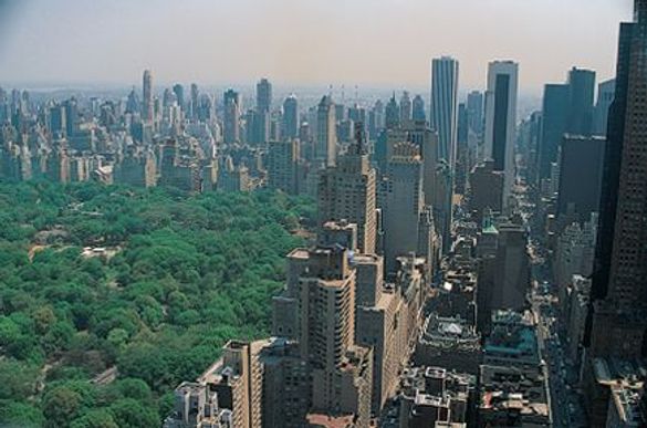 View from Loews Regency New York 