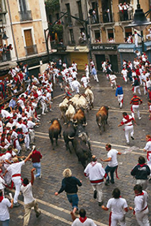 San Fermin in Pamplona, Camino Frances