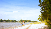 Chesapeake Bay Beach