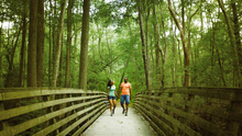 First Landing State Park