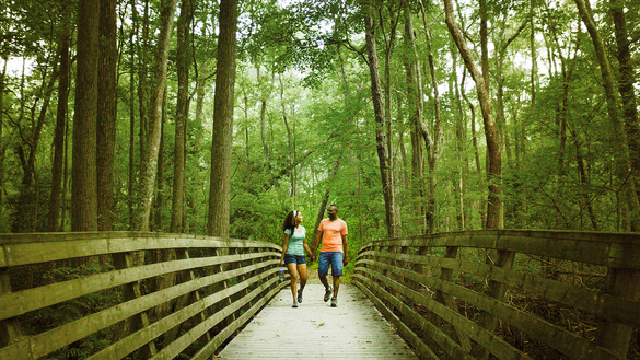 First Landing State Park
