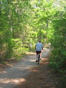 Biking through First Landing State Park