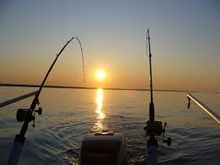 Virginia Beach - the Striped Bass Capital of the World